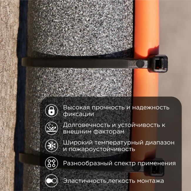 Стяжка кабельная нейлоновая 150x2,5мм, черная (25 шт/уп) REXANT Стяжка кабельная нейлоновая 150x2,5мм, черная (25 шт/уп) REXANT