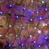 Гирлянда Сеть 2х0,7м, черный ПВХ, 176 LED Белые/Синие (контроллер в комплекте)
