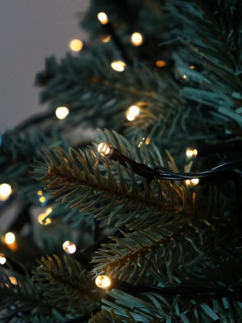 Гирлянда светодиодная "Нить" LD200-GWW-BO 20м 200LED тепл. бел. уличная 8 режимов элементы питания 3хAA SHLights 4690601045461 Гирлянда светодиодная "Нить" LD200-GWW-BO 20м 200LED тепл. бел. уличная 8 режимов элементы питания 3хAA SHLights 4690601045461