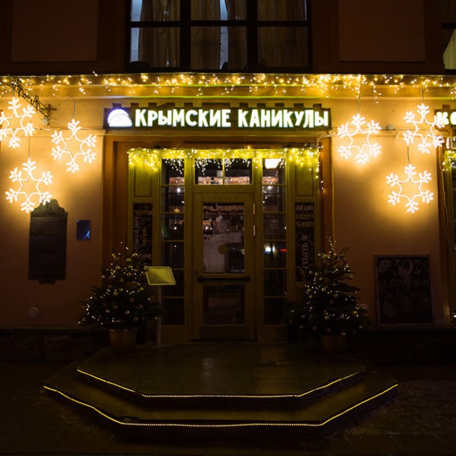 Фигура Снежинка цвет ТЕПЛЫЙ БЕЛЫЙ, размер 55x55 см NEON-NIGHT Фигура Снежинка цвет ТЕПЛЫЙ БЕЛЫЙ, размер 55x55 см NEON-NIGHT