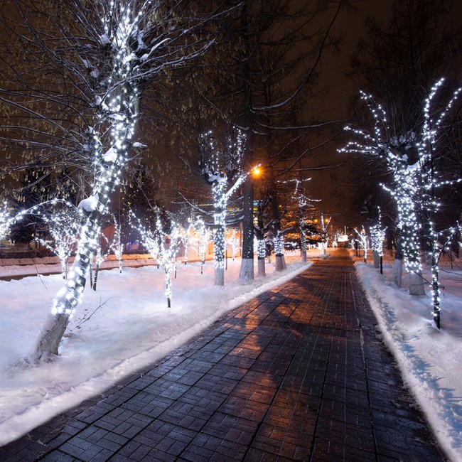 Гирлянда LED Клип-лайт 12 V, прозрачный ПВХ, 150 мм, цвет диодов белый Гирлянда LED Клип-лайт 12 V, прозрачный ПВХ, 150 мм, цвет диодов белый