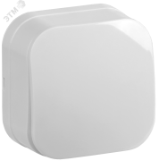 GLORY Выключатель одноклавишный наружный белый ВС20-1-0-ХБ 10А GLORY Выключатель одноклавишный наружный белый ВС20-1-0-ХБ 10А