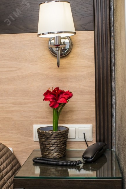 GLOSSA Розетка с заземлением со шторками в рамку белая GLOSSA Розетка с заземлением со шторками в рамку белая