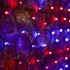 Гирлянда Сеть 2,5х2,5м, черный ПВХ, 432 LED Красные/Синие (контроллер в комплекте)