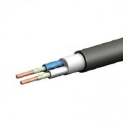 Кабель силовой ВВГнг(А)-FRLSLTx 2х4 ок (N) -0,66 ТРТС