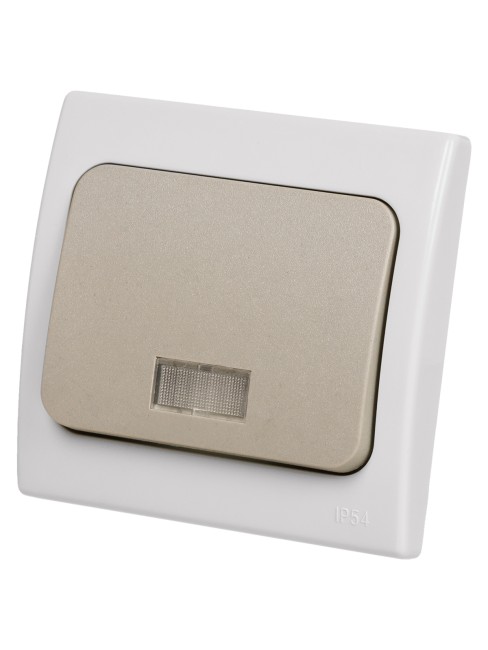 Выключатель 1-кл. с подсветкой скрытой установки IP54 10А серый "Вуокса" TDM Выключатель 1-кл. с подсветкой скрытой установки IP54 10А серый "Вуокса" TDM