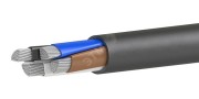 Кабель силовой АВВГнг(А)-LS 4х50,0 мс (N)-0,66 ТРТС