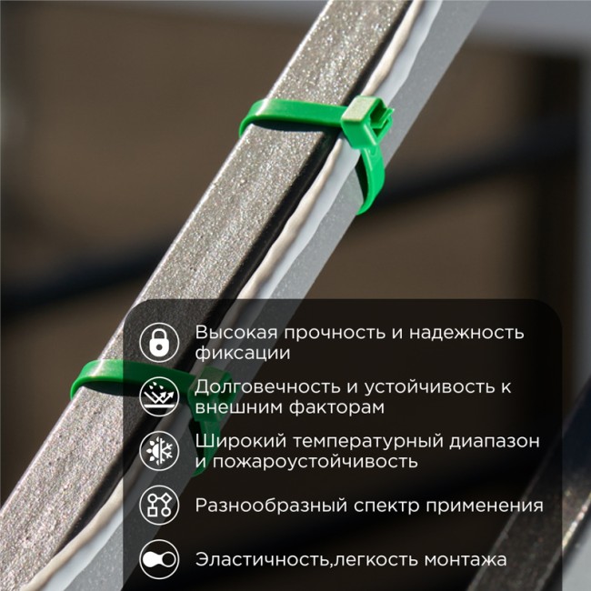 Стяжка кабельная нейлоновая 400x4,8мм, зеленая (25 шт/уп) REXANT Стяжка кабельная нейлоновая 400x4,8мм, зеленая (25 шт/уп) REXANT