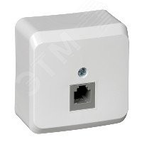 ЭТЮД Розетка телефонная наружная IP20 бук ЭТЮД Розетка телефонная наружная IP20 бук