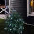 Гирлянда Твинкл Лайт 10 м, 100 LED БЕЛЫЙ, черный ПВХ, IP65, динамика, 230В соединяется NEON-NIGHT (нужен контроллер 217-204)