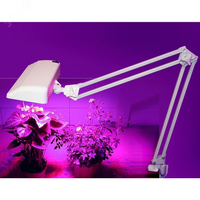 Светильник фито Дельта П-С32Ф LED 12Вт на         струбцине белый