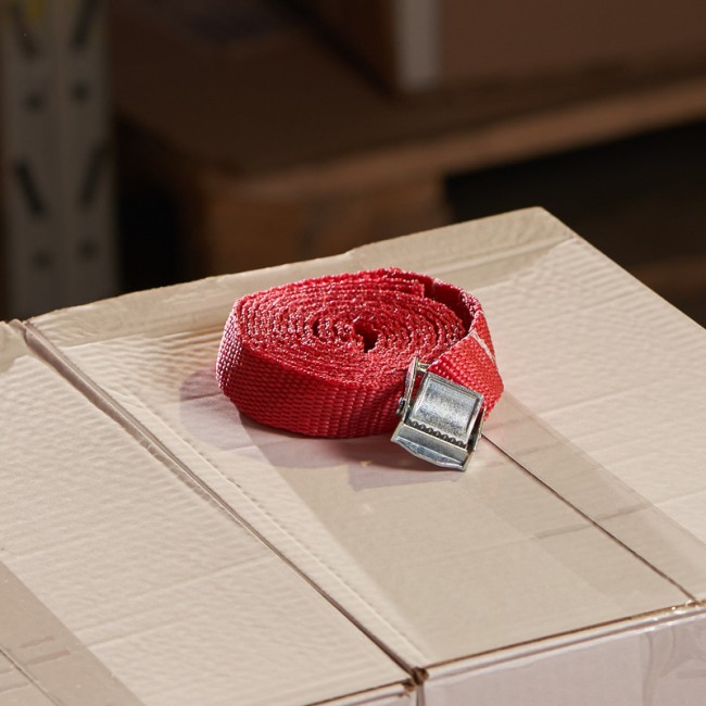 Ремень REXANT для крепления груза с фиксатором, 2.5 м