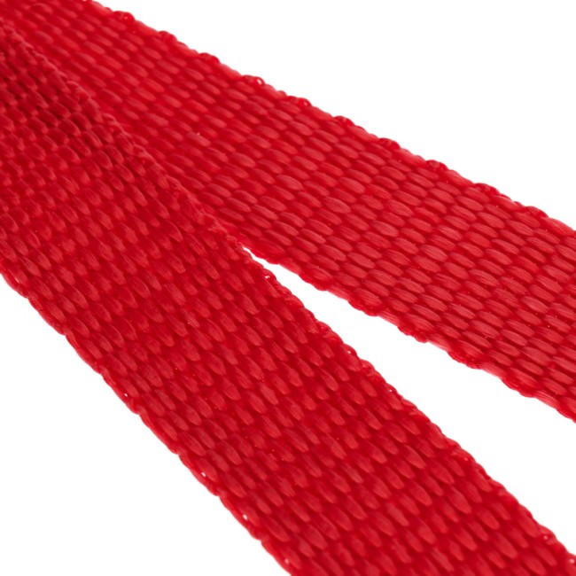 Ремень REXANT для крепления груза с фиксатором, 2.5 м