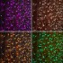 Гирлянда Светодиодный дождь 2х3 м, прозрачный провод, 230 В, диоды RGB, 600 LED-свечение с динамикой при приобретении контроллера 245-908