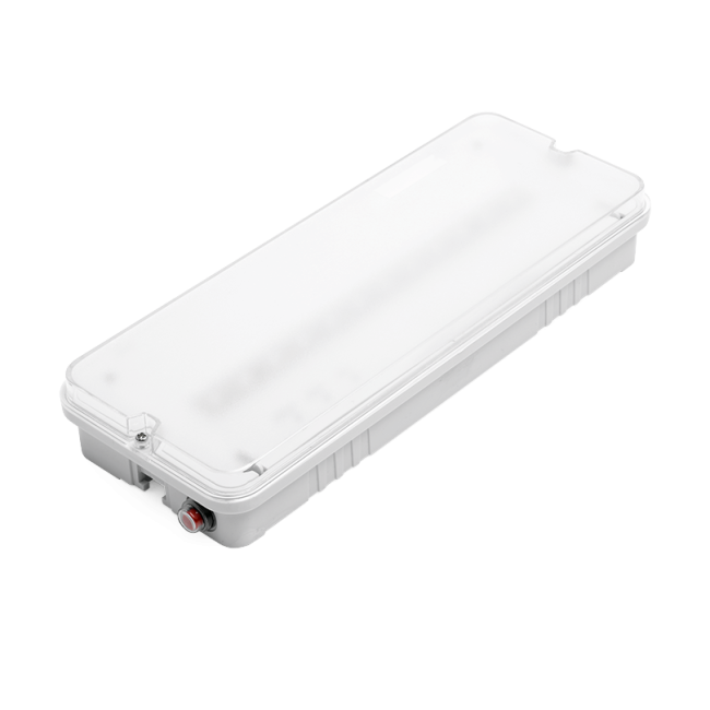Аварийный светильник WOLTA PRO ОРИЕНТИР Мини ДБО03-3-051-6К с БАП EM3 3Вт 6500К IP65 Матовый