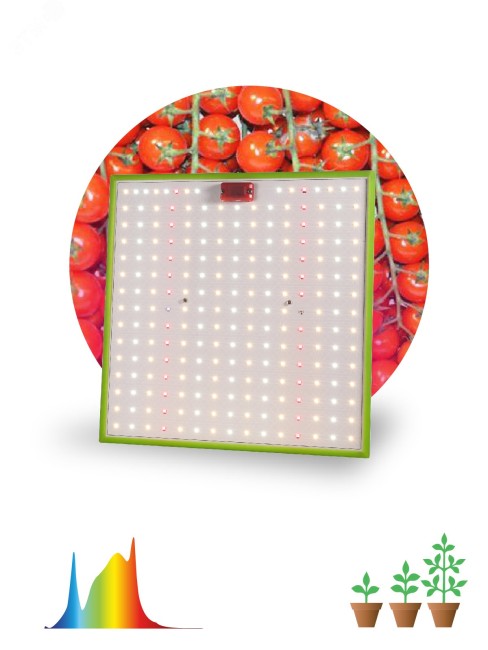 Фитопрожектор для растений светодиодный FITO-80W-LED-QB Quantum board ЭРА