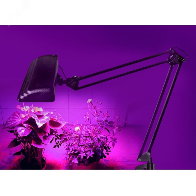 Светильник фито Дельта П-С32Ф LED 12Вт на         струбцине черный