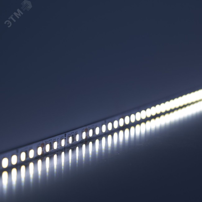 Лента светодиодная LEDх60/м 5м 6w/m 24в дневной
