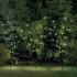 Светодиодное дерево Верба 3500К, с солнечной панелью и аккумулятором LAMPER