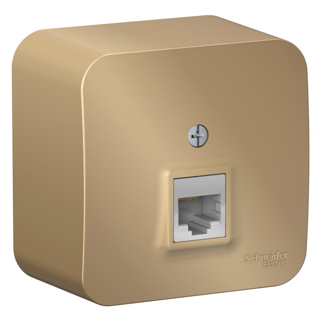 Розетка BLANCA наружная компьютерная RJ45, кат.5e, с изолирующей пластиной, титан Розетка BLANCA наружная компьютерная RJ45, кат.5e, с изолирующей пластиной, титан