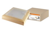 Светильник НПБ 02-2х40-111 УХЛ4 "Киото-1" сосна 2х40 Вт IP20 (270х270х75) TDM Светильник НПБ 02-2х40-111 УХЛ4 "Киото-1" сосна 2х40 Вт IP20 (270х270х75) TDM