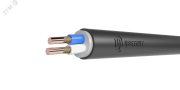 Кабель силовой ВВГнг(А)-FRLSLTx 2х2.5ок(N)-0.66 ТРТС