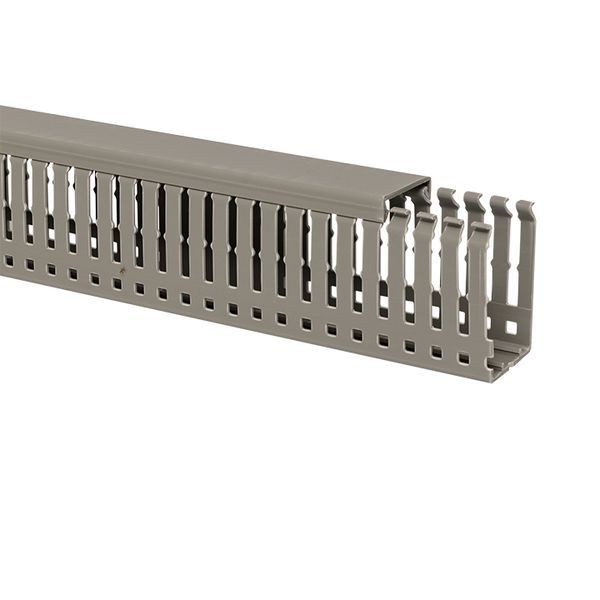 Кабель-канал перфорированный 60х40 L2000 пластик PROxima EKF kk60-40 Кабель-канал перфорированный 60х40 L2000 пластик PROxima EKF kk60-40