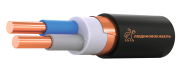 Кабель силовой ВВГЭнг(А)-LS 2х10ок(N)-0.66  ТРТС