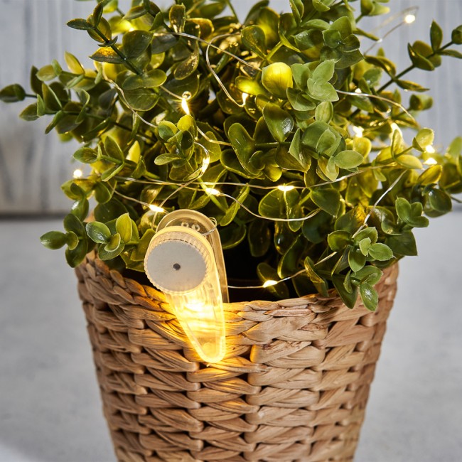 Гирлянда Роса с прищепкой 3 м, 30 LED, теплое белое свечение, 2хCR2032 в комплекте NEON-NIGHT Гирлянда Роса с прищепкой 3 м, 30 LED, теплое белое свечение, 2хCR2032 в комплекте NEON-NIGHT