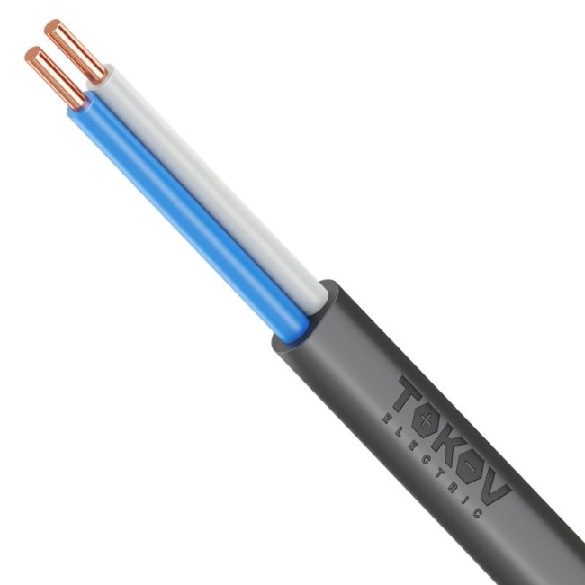 Кабель TOKOV ELECTRIC ВВГ-Пнг(А)-LSLTx 2х2.5 ОК (N) 0.66кВ (м) УТ000030886 Кабель TOKOV ELECTRIC ВВГ-Пнг(А)-LSLTx 2х2.5 ОК (N) 0.66кВ (м) УТ000030886