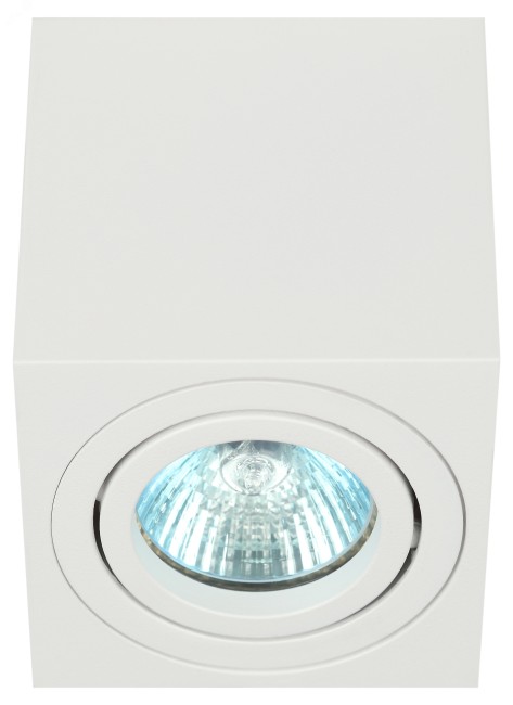 Светильник настенно-потолочный спот OL22 WH MR16/GU10, белый, поворотныйлампа MR16 ( в комплект не входит) ЭРА