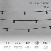 Гирлянда Belt-Light 2 жилы, 100м, шаг 50см, 180 патронов E27, IP65, черный провод NEON-NIGHT