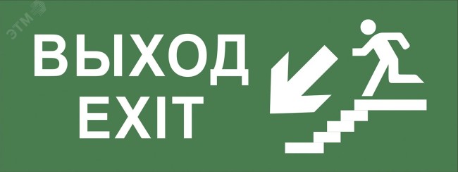 Этикетка самоклеющаяся 200х60мм Выход/лестница вниз/фигура DPA/DBA  INFO-DBA-013 ЭРА