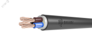 Кабель силовой ВВГнг(А)-LS 4х50мк(N)-0.66 ТРТС
