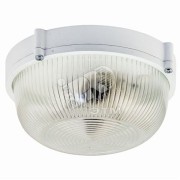 Светильник НПП-03-60-013 IP65 Банник 1301 Круг малый матовый корпус белый Светильник НПП-03-60-013 IP65 Банник 1301 Круг малый матовый корпус белый