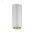 Светильник светодиодный ДПО 12 Вт 900 Лм 3000К цилинндр накладной 170-240 В 79х200 мм IP20 белый/золото LED Overhead Gauss