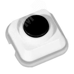 Выключатель одноклавишный наружный с монтажной пластиной Выключатель одноклавишный наружный с монтажной пластиной