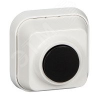 Выключатель одноклавишный наружный с монтажной пластиной Выключатель одноклавишный наружный с монтажной пластиной