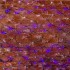 Гирлянда Сеть 2,5х2,5м, черный ПВХ, 432 LED Белые/Синие (шнур питания в комплекте)