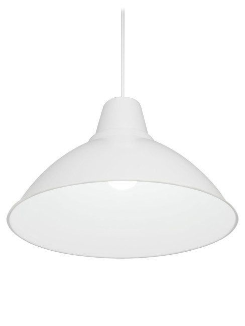 Светильник НСБ 2537/1 "Steel" 40 Вт, E27, опал, шнур белый TDM Светильник НСБ 2537/1 "Steel" 40 Вт, E27, опал, шнур белый TDM