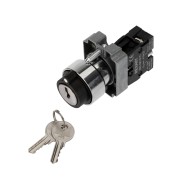 Переключатель BD21 2P с замком NO Переключатель BD21 2P с замком NO