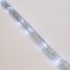 Дюралайт LED, свечение с динамикой (3W) - белый Эконом 24 LED/м, бухта 100м