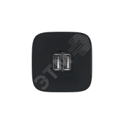 Valena ALLURE Зарядное устройство с двумя USB-разьемами 240В/5В 1500мА С лицевой панелью Антрацит