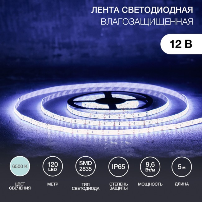 Лента светодиодная 12В, SMD2835, 120 LED/м, 6500К, 8мм, 5м, IP65 LAMPER