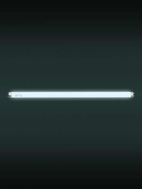 Лампа люминесцентная линейная двухцокольная ЛЛ-18Вт/765, T8/G13, 6500 К TDM Лампа люминесцентная линейная двухцокольная ЛЛ-18Вт/765, T8/G13, 6500 К TDM