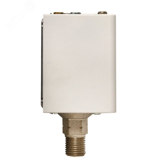 Реле избыточного давления EKF RVG-20-1,6 (1,6 МПа) Реле избыточного давления EKF RVG-20-1,6 (1,6 МПа)