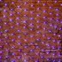 Гирлянда Сеть 2x4м, черный КАУЧУК, 560 LED Белые/Синие (шнур питания в комплекте)