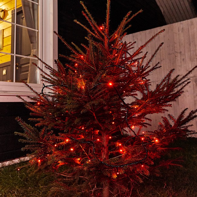 Гирлянда Твинкл Лайт 10 м, черный ПВХ, 100 диодов, цвет красный (контроллер в комплекте)