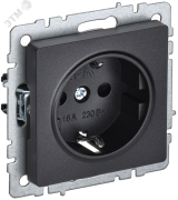 BRITE Розетка с заземлением без защитных шторок 16А РС11-1-0-БрЧ черный BRITE Розетка с заземлением без защитных шторок 16А РС11-1-0-БрЧ черный