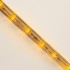 Дюралайт LED, постоянное свечение (2W) - желтый, 36 LED/м, бухта 100м Neon-Night